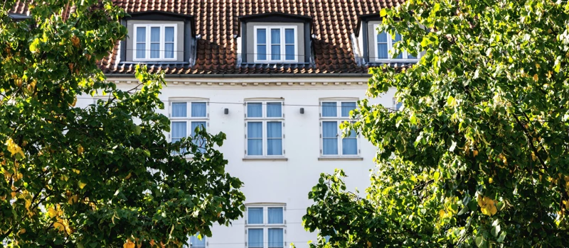 to træer og et hvidt hus