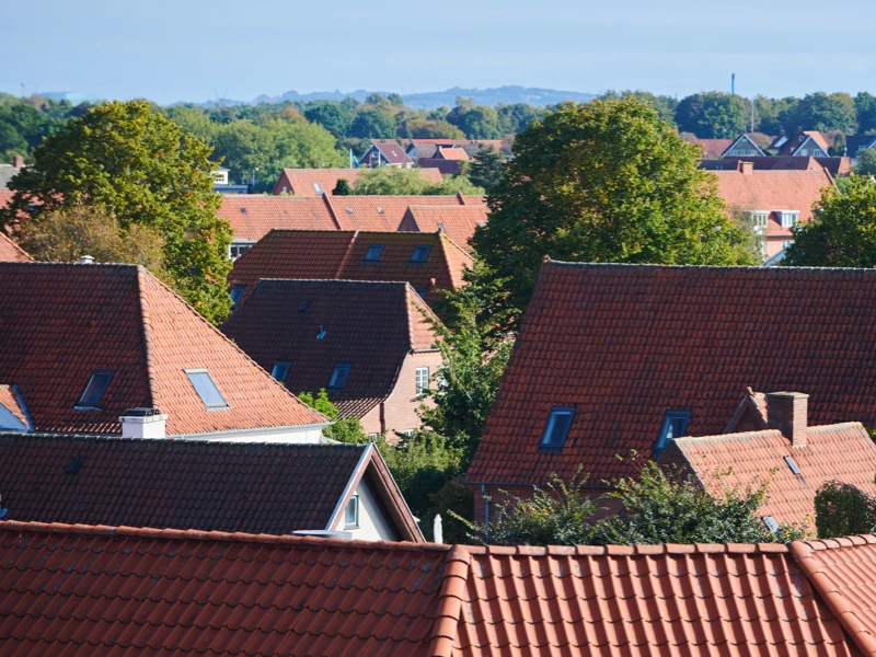 Udsigt overe grønne træer og huse med rødt tag