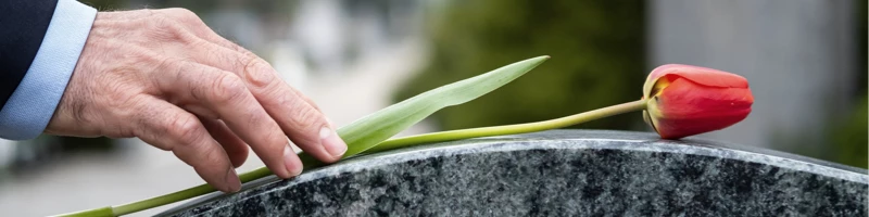 Mandlige hænder ligger blomst på gravsten