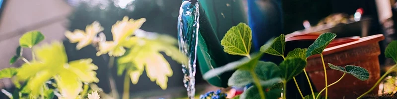 vandkande der vander planter udenfor